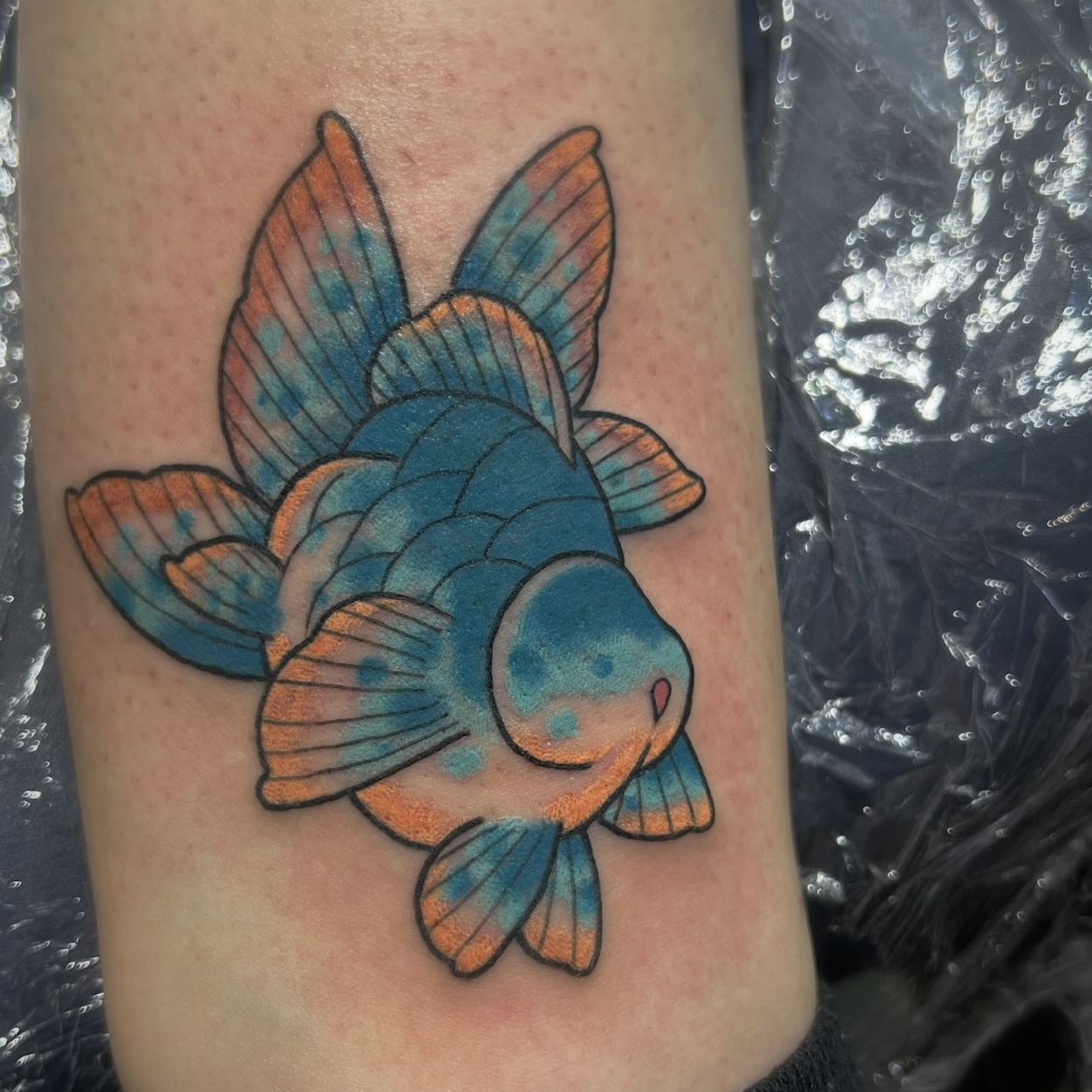 Dickfish Tattoos